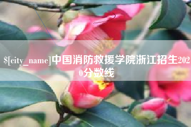 嘉峪关中国消防救援学院浙江招生2020分数线