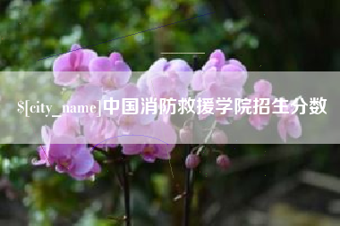 嘉峪关中国消防救援学院招生分数
