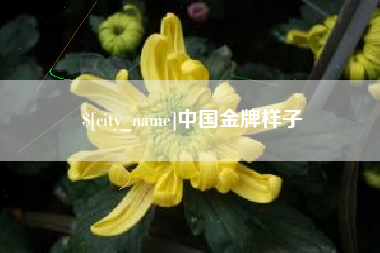嘉峪关中国金牌样子