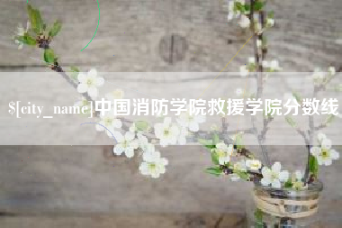 嘉峪关中国消防学院救援学院分数线