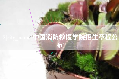 嘉峪关中国消防救援学院招生章程公布!