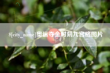嘉峪关奥运夺金时刻九宫格图片