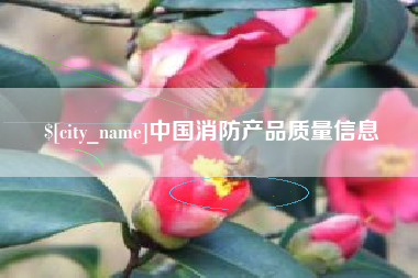 嘉峪关中国消防产品质量信息
