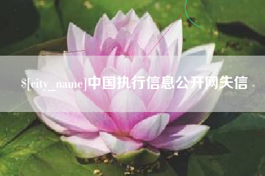 嘉峪关中国执行信息公开网失信