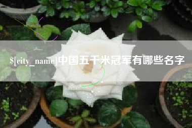 嘉峪关中国五千米冠军有哪些名字