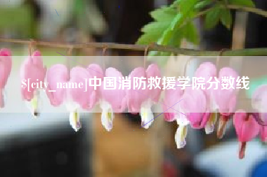 嘉峪关中国消防救援学院分数线