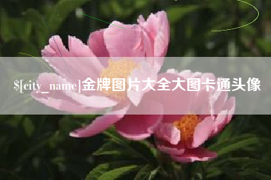 嘉峪关金牌图片大全大图卡通头像