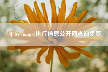 嘉峪关执行信息公开网查询免费