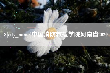 嘉峪关中国消防救援学院河南省2020